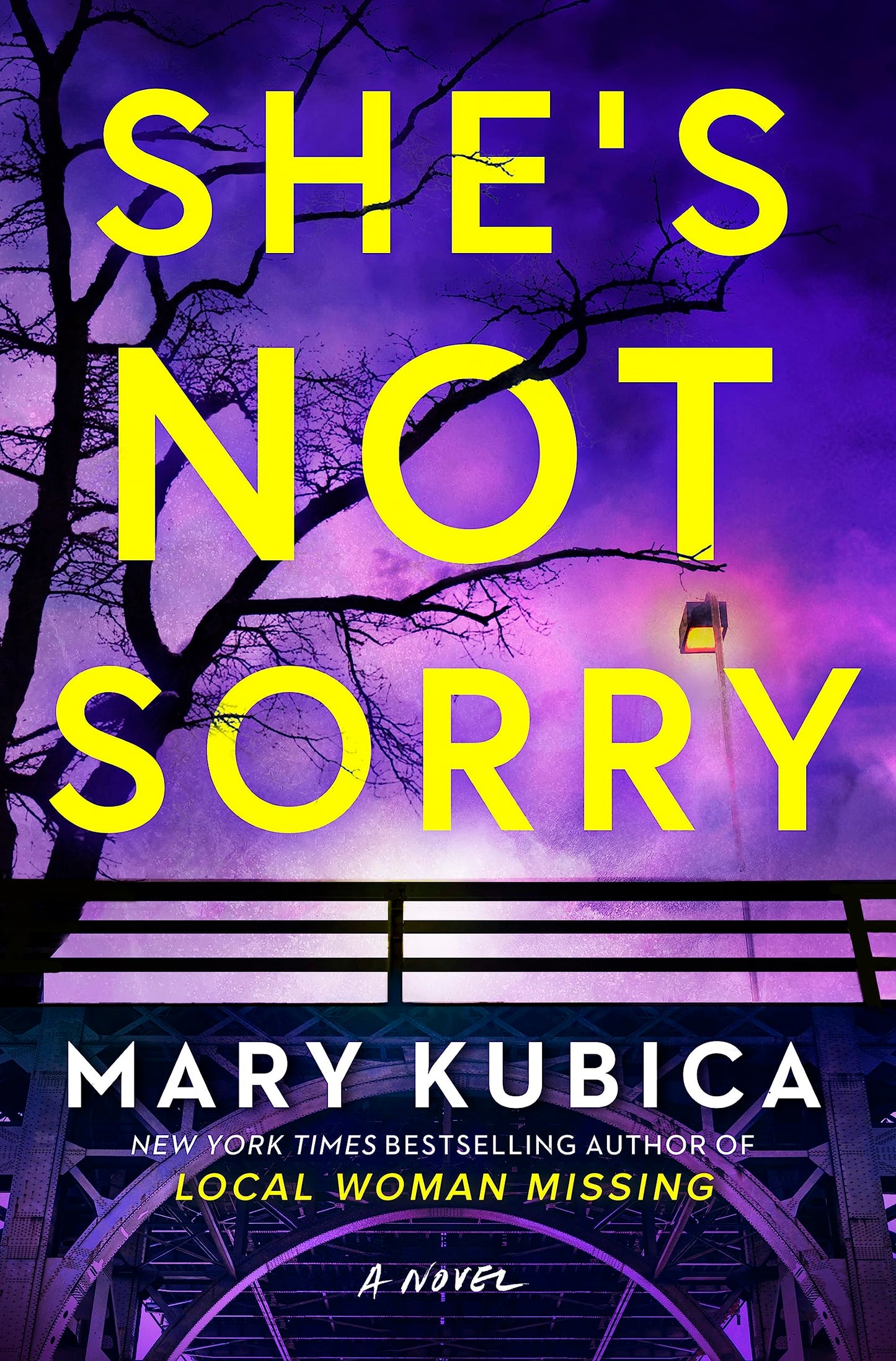 She's Not Sorry Mary Kubica
