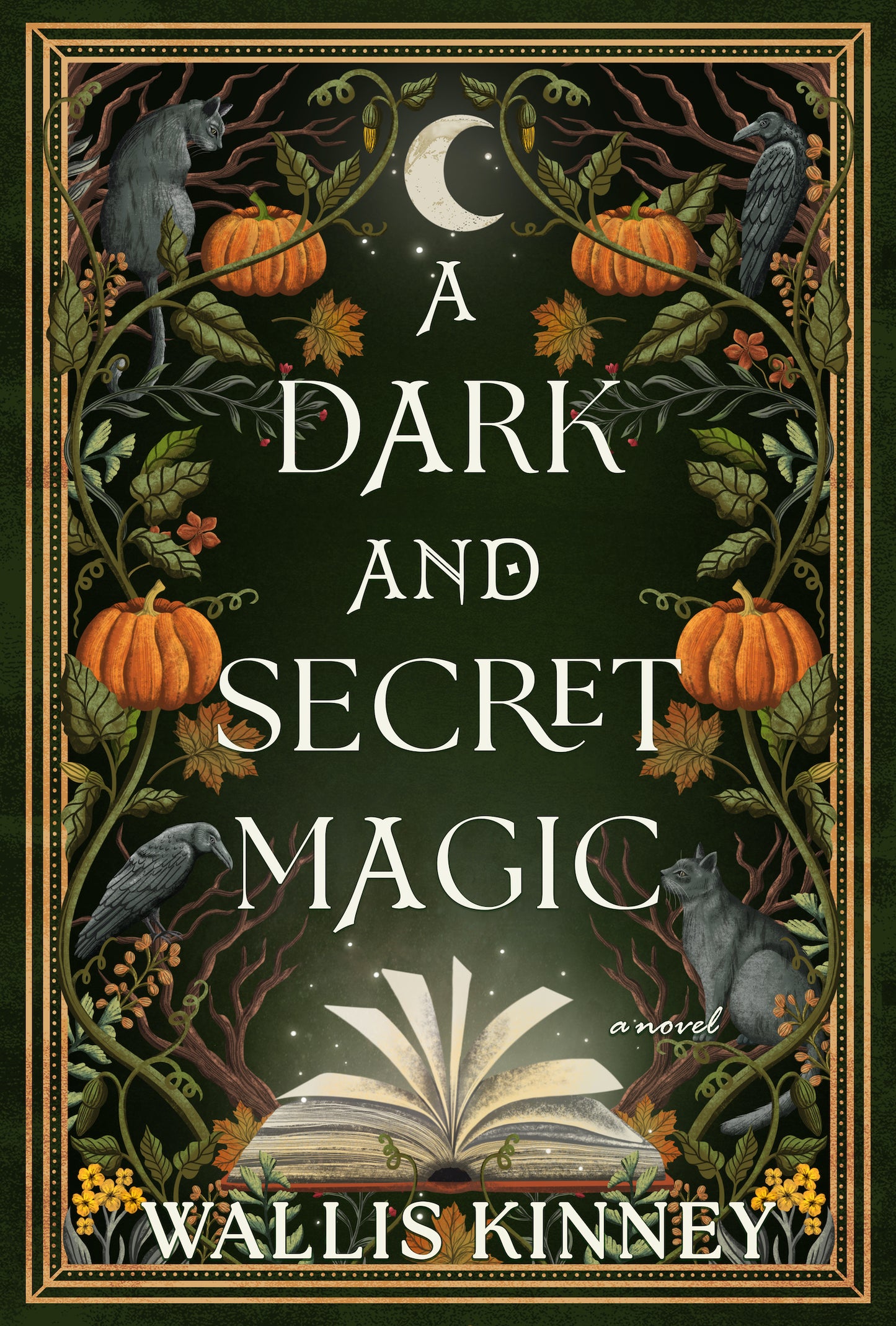 A Dark and Secret Magic Wallis Kinney