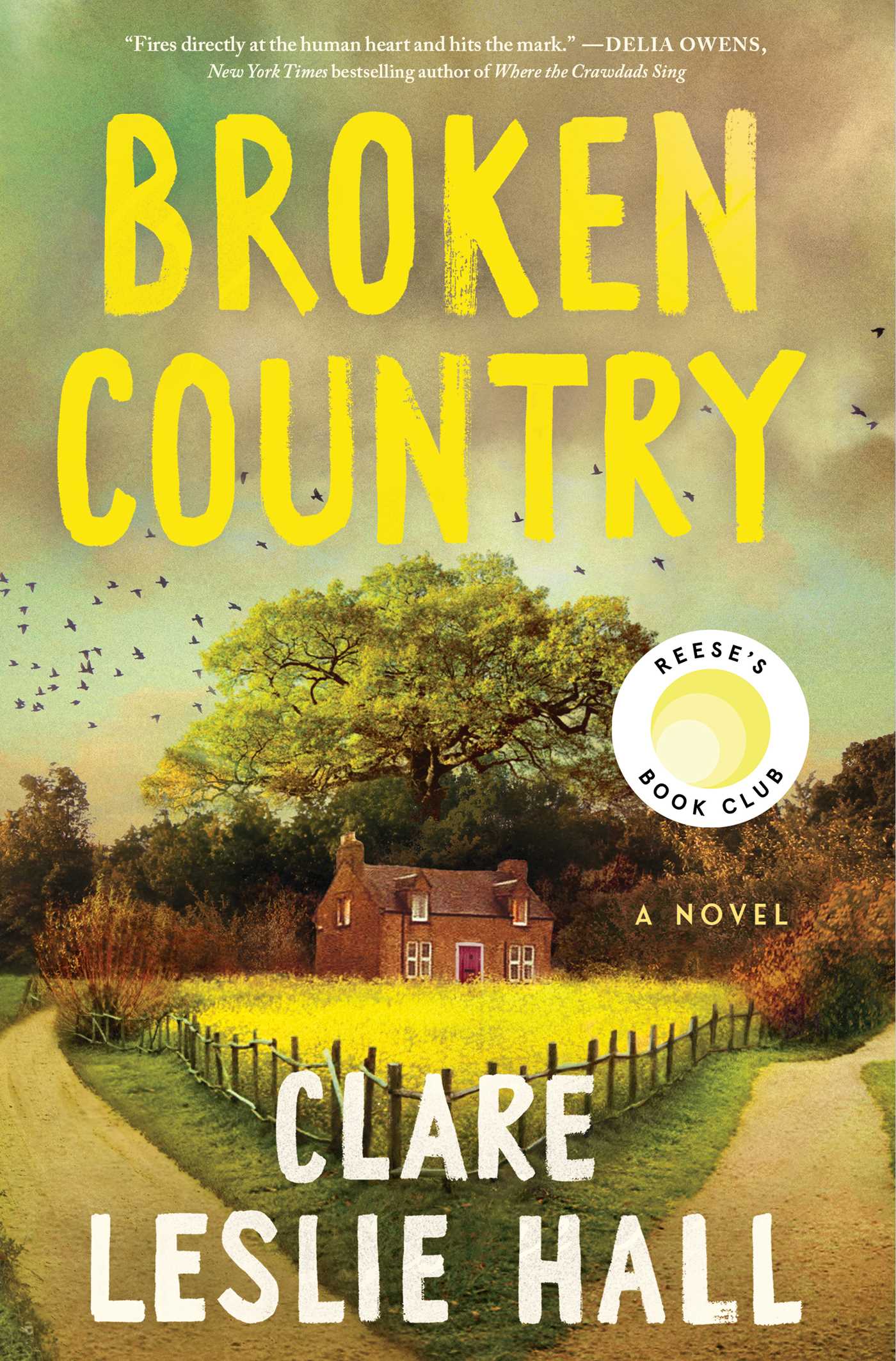 Broken Country Clare Leslie Hall