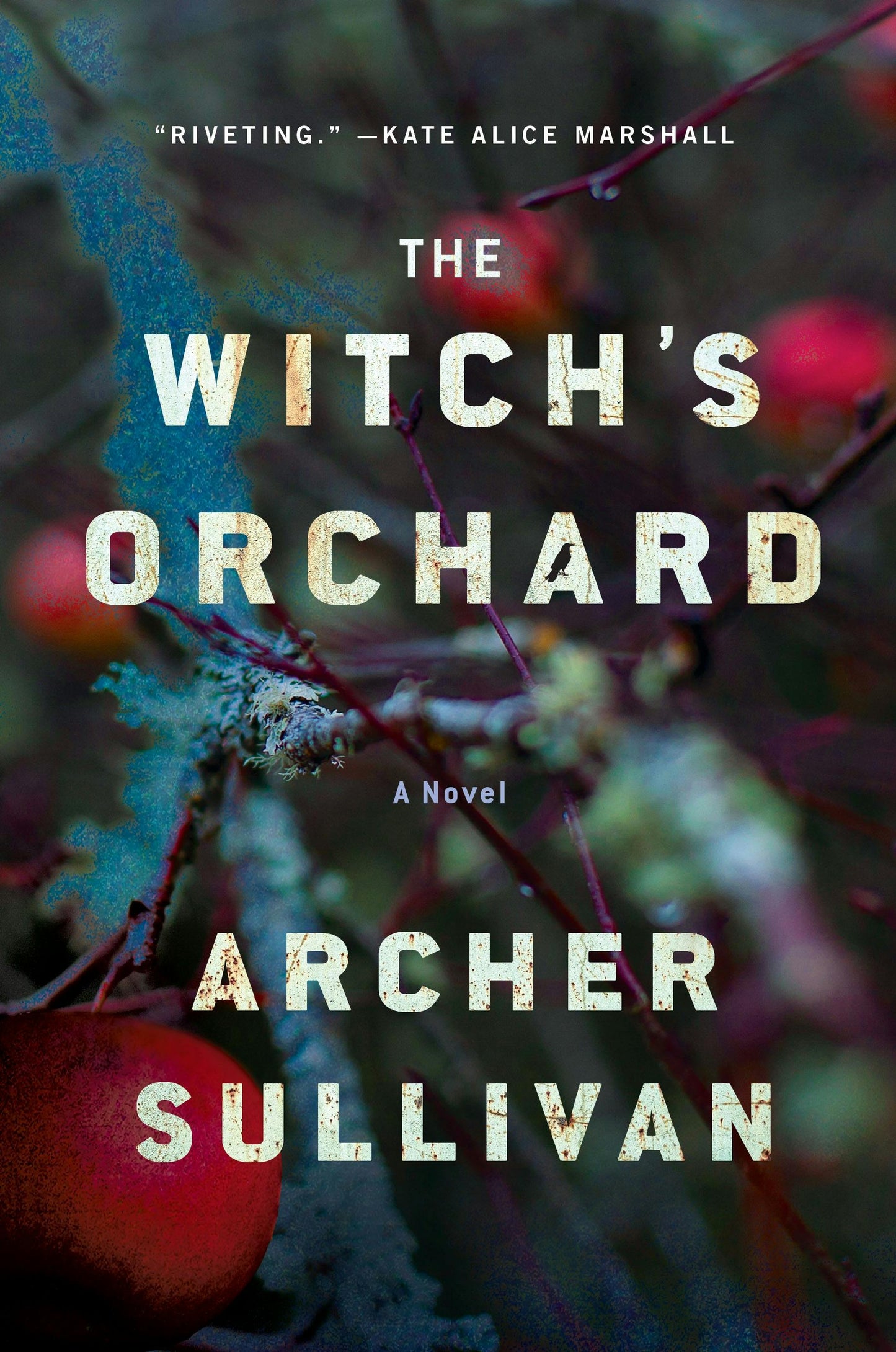 The Witch's Orchard Archer Sullivan