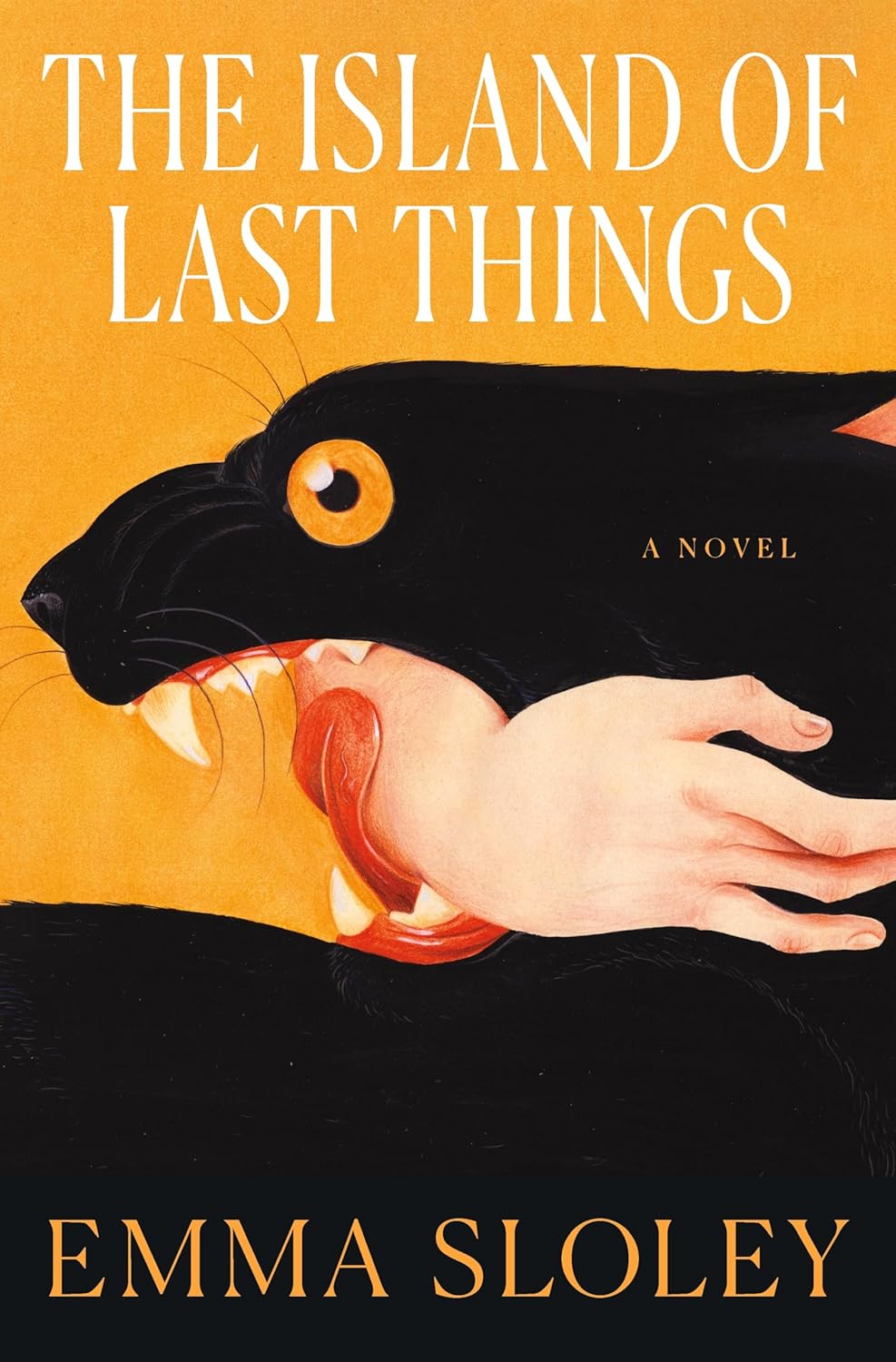 The Island of Last Things Emma Sloley
