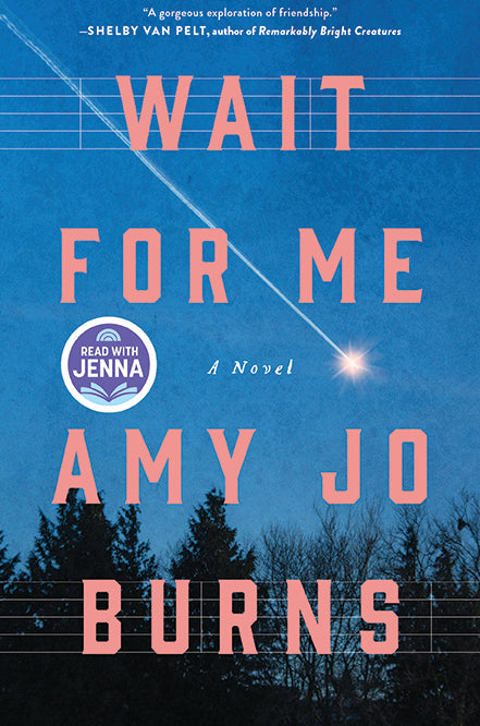 Wait for Me Amy Jo Burns