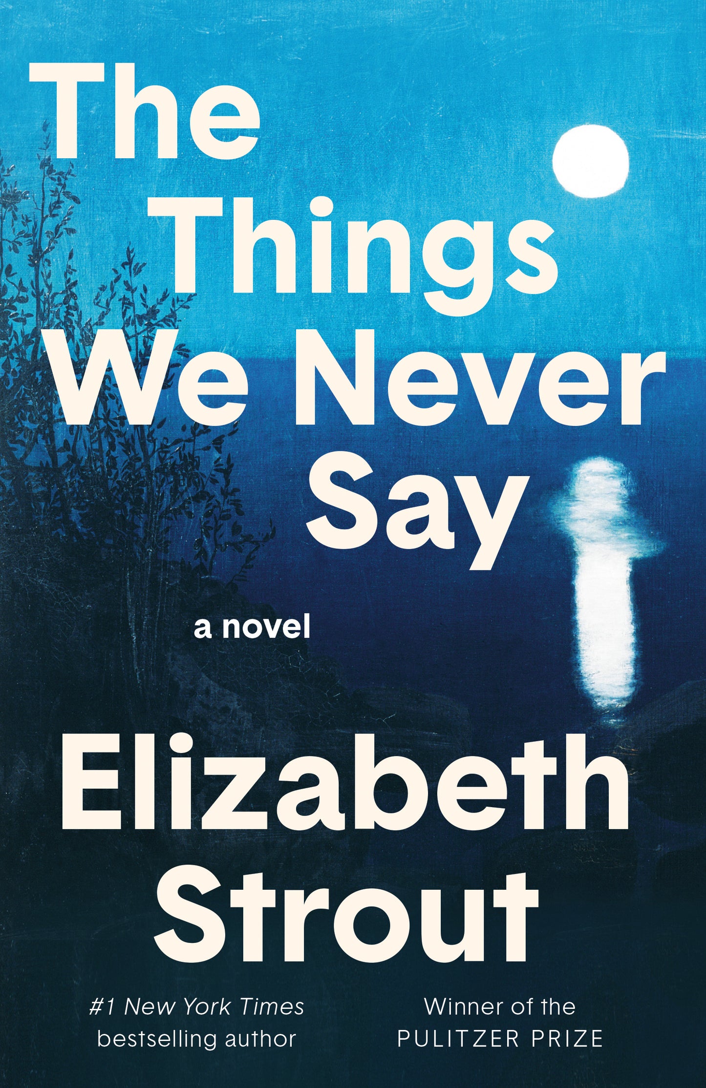 The Things We Never Say Elizabeth Strout