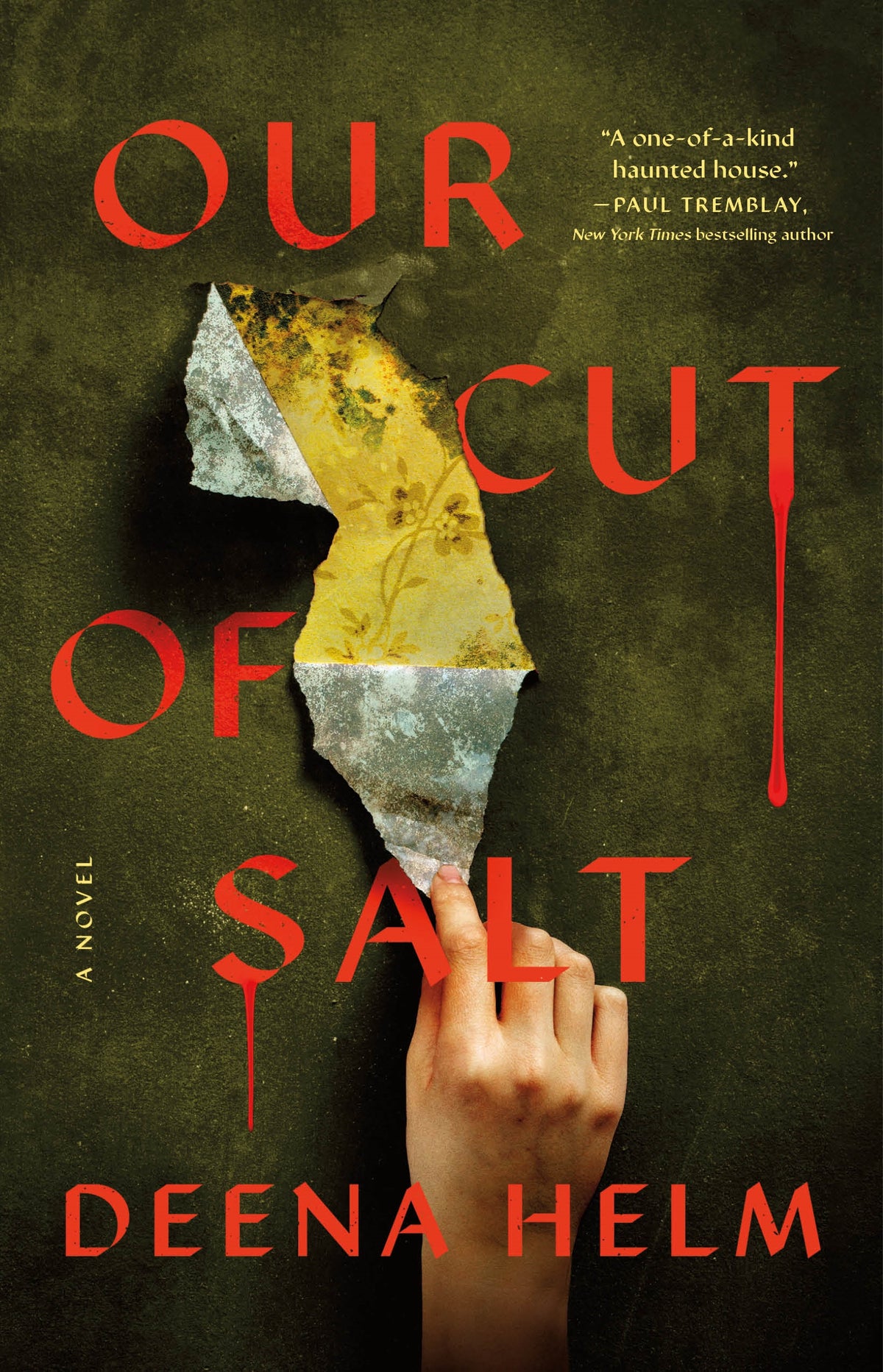 Our Cut of Salt Deena Helm