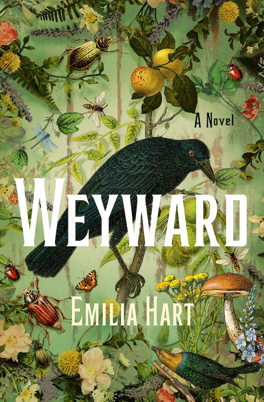 Weyward Emilia Hart