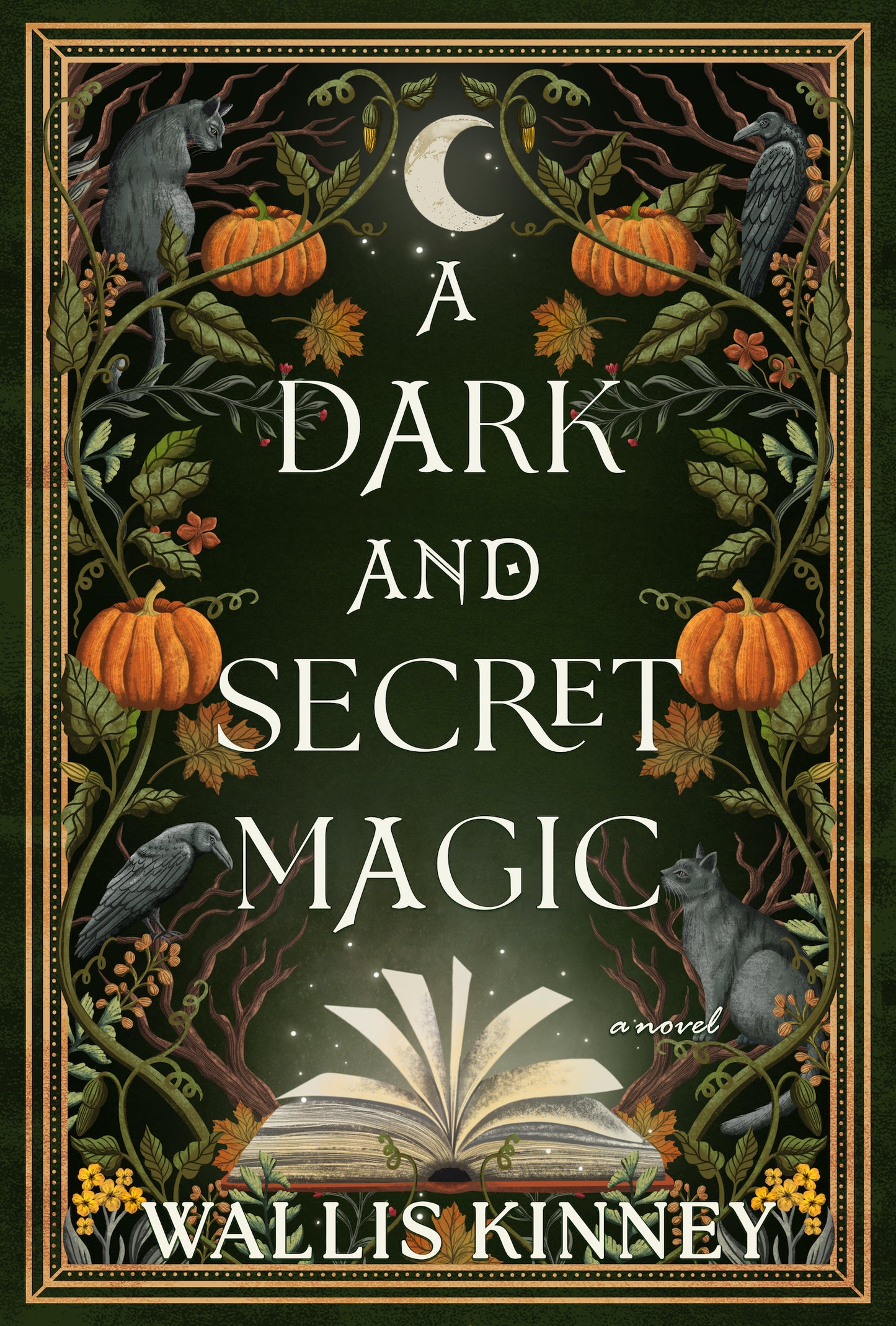 A Dark and Secret Magic  Wallis Kinney