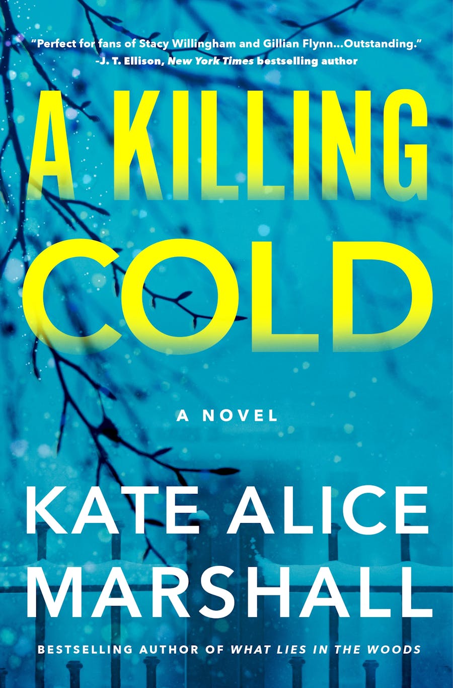 A Killing Cold  Kate Alice Marshall