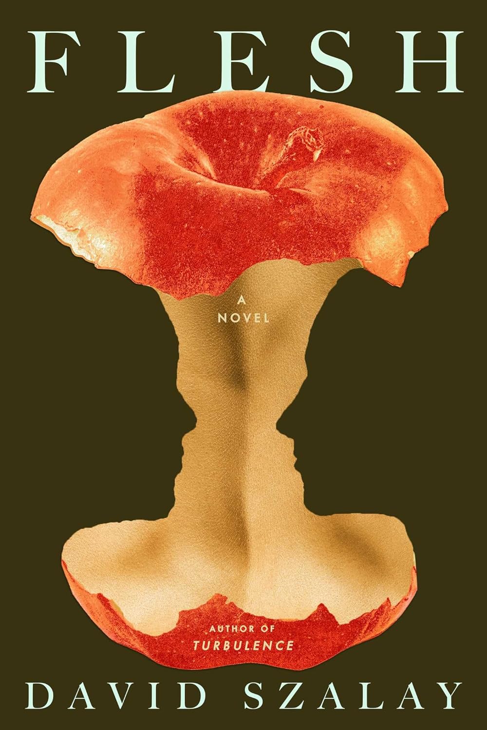 Flesh  David Szalay