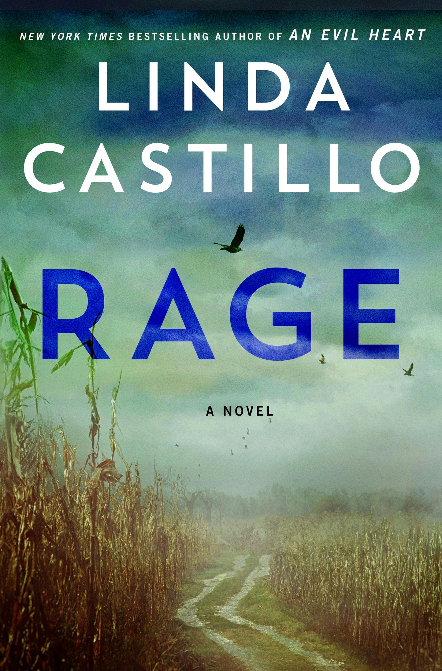 Rage  Linda Castillo