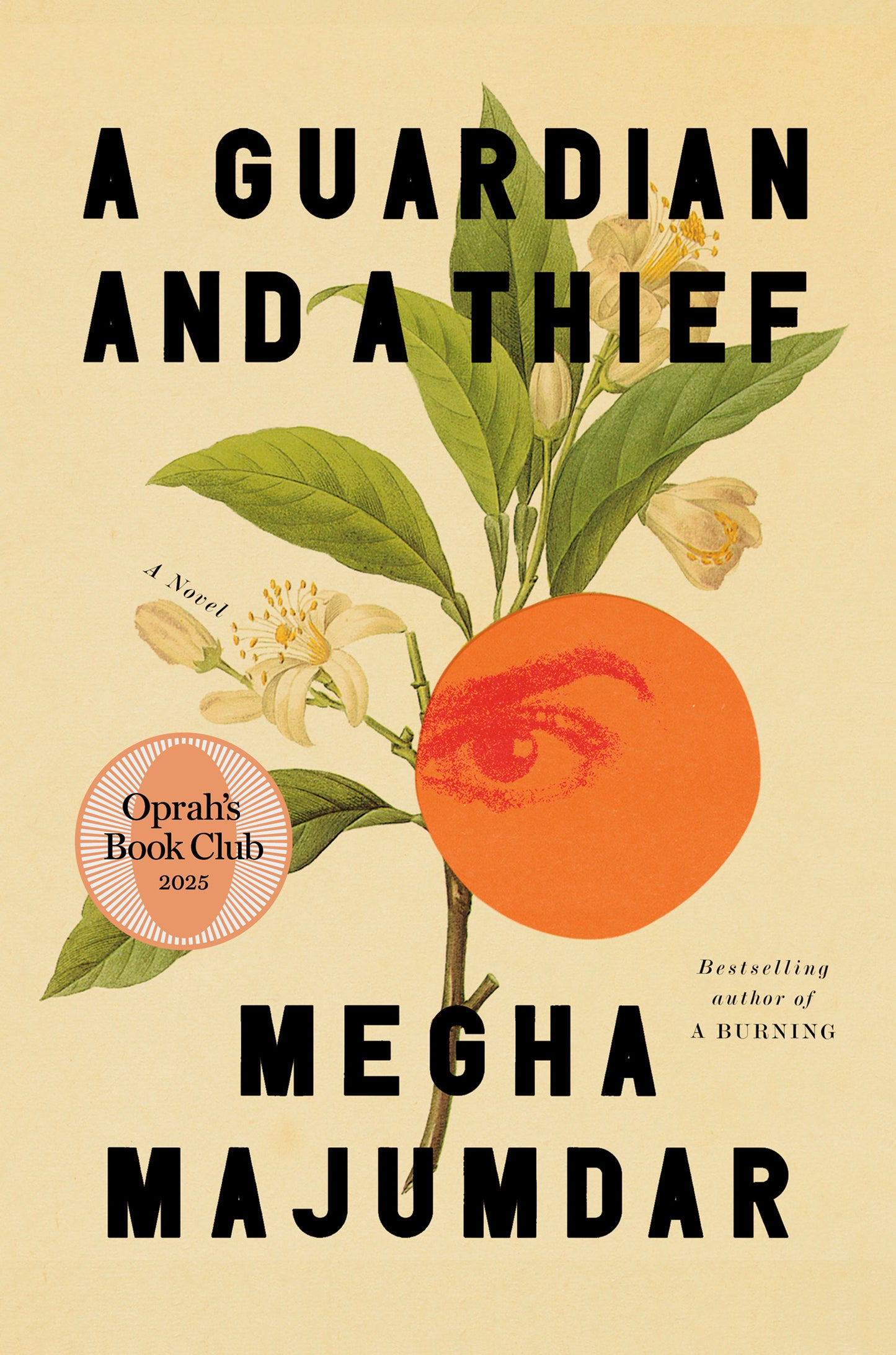 A Guardian and a Thief  Megha Majumdar