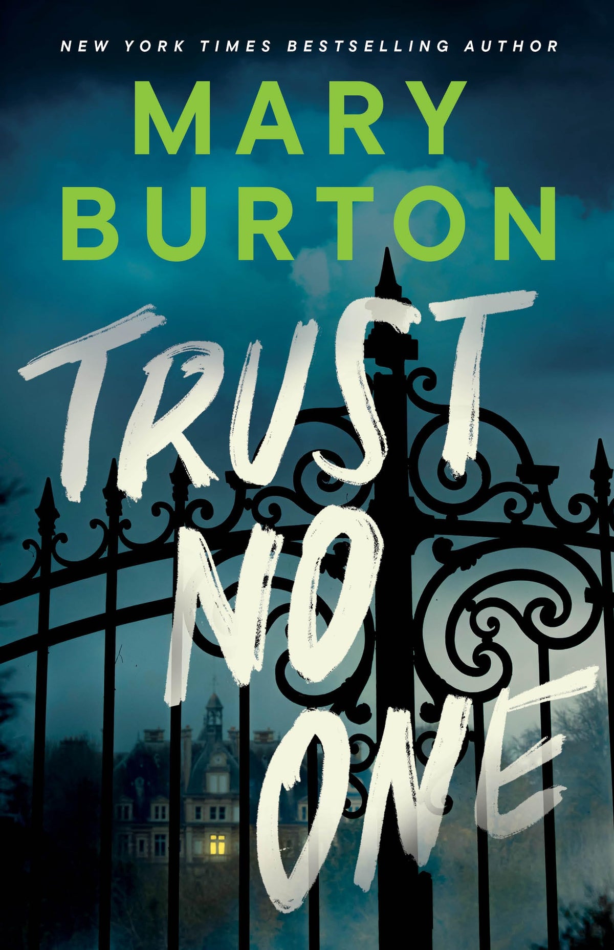 Trust No One  Mary Burton