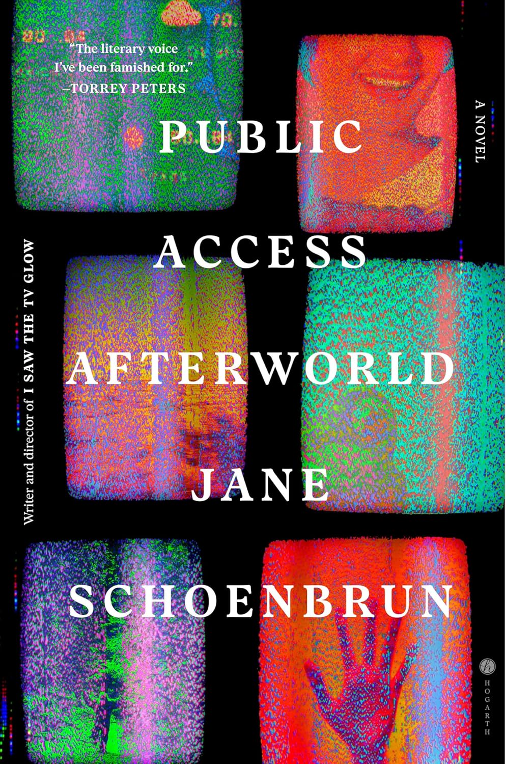 Public Access Afterworld  Jane Schoenbrun
