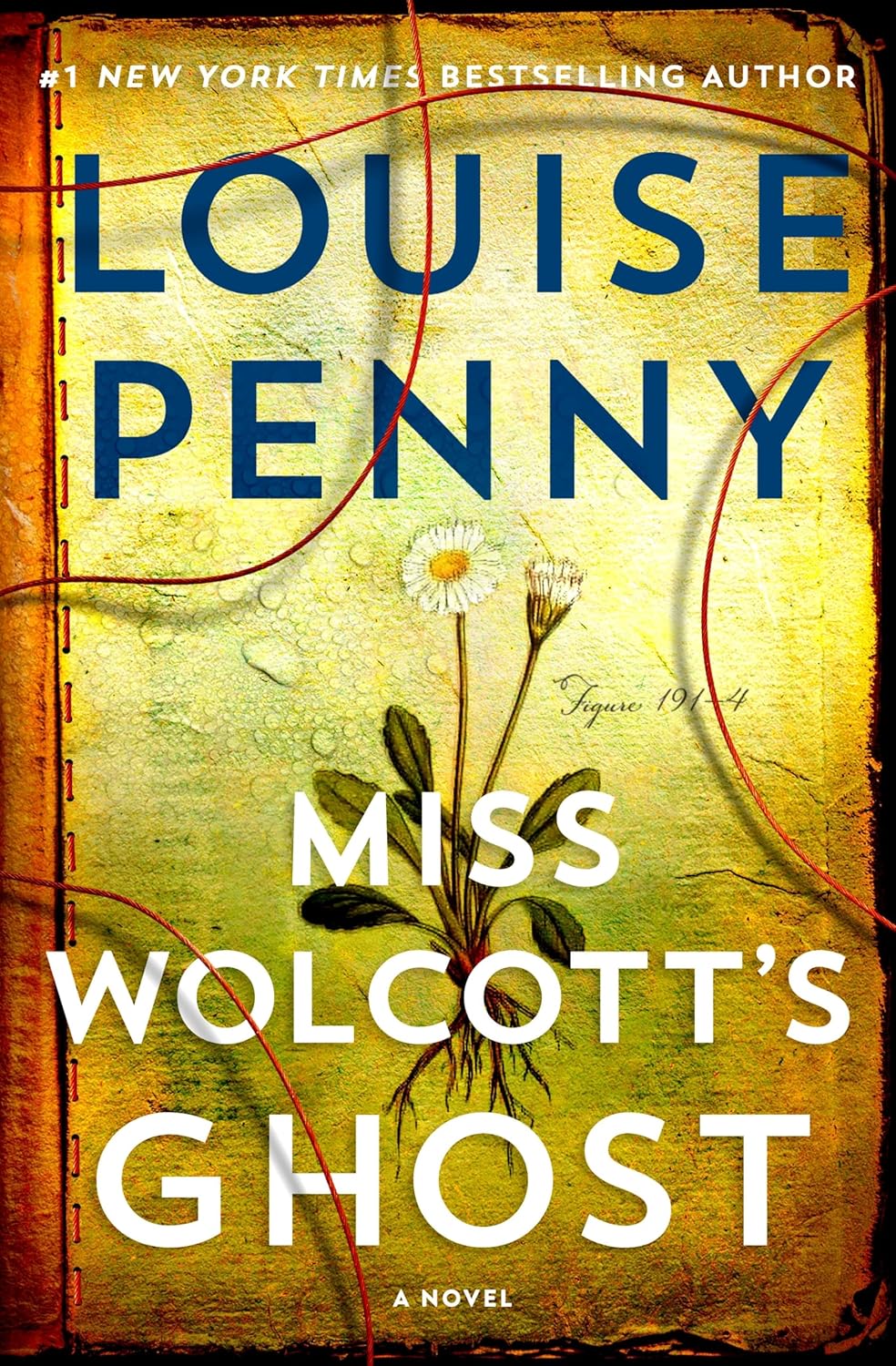 Miss Wolcott's Ghost  Louise Penny
