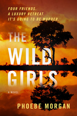 The Wild Girls  Phoebe Morgan